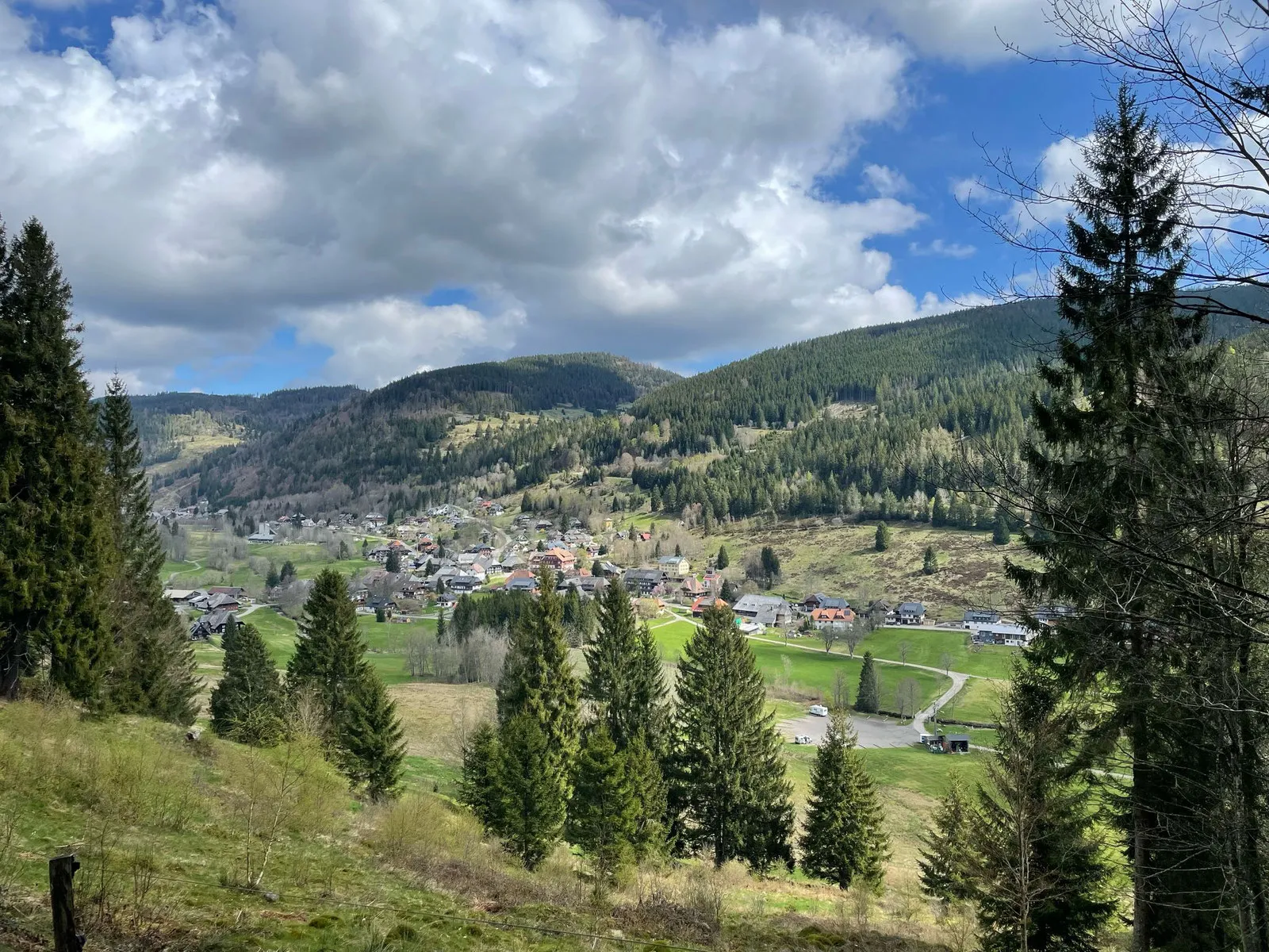 Blick von einem Wanderweg zwischen Tannen hinunter ins Tal auf ein Dorf, dahinter bewaldete Berge