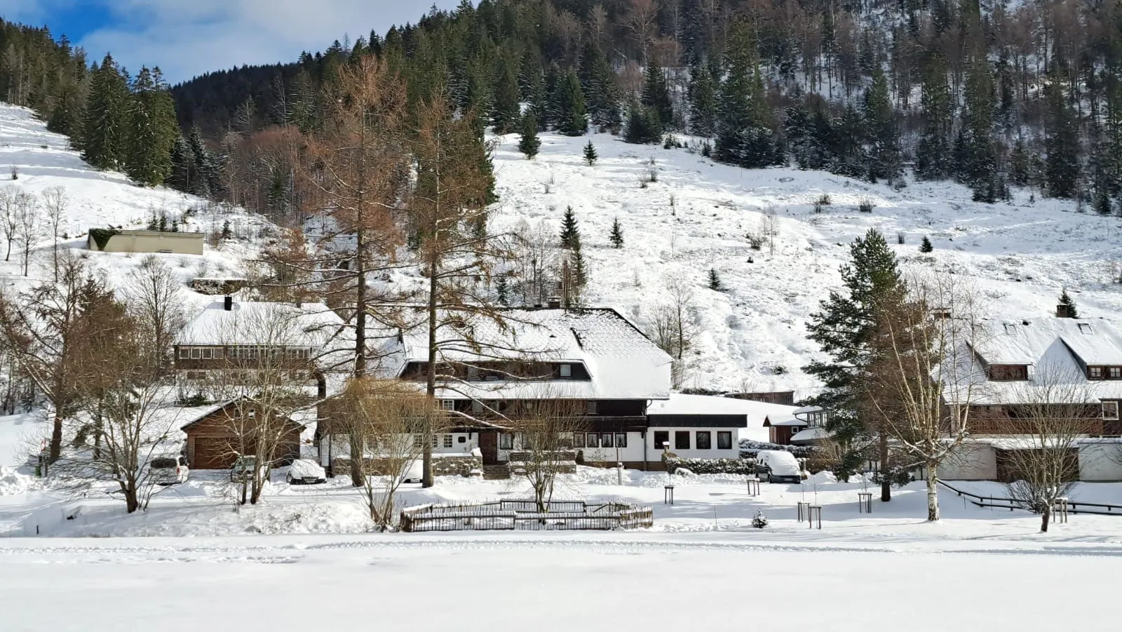 Verschneite Wiesen und Schwarzwaldhöfe am Fuß eines bewaldeten Hangs