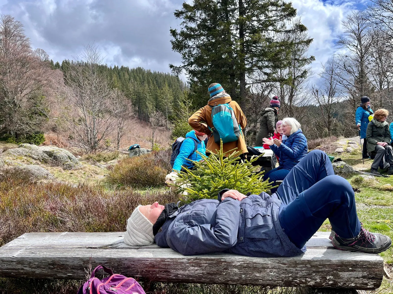Ein Gast liegt während einer Wanderpause ausgestreckt auf einer Holzbank, dahinter die Gruppe zwischen Heide und Tannen