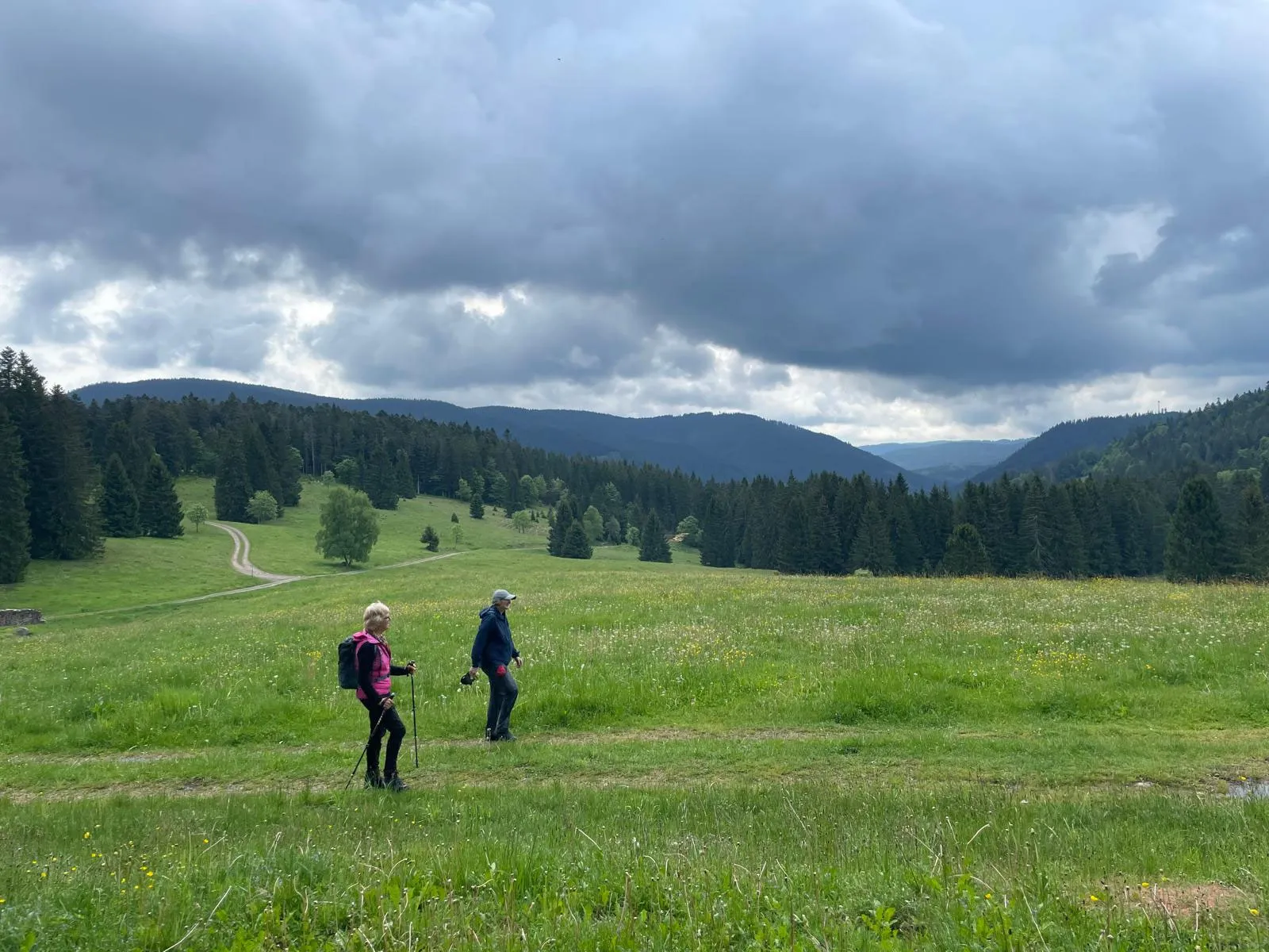 Zwei Wanderinnen mit Stöcken auf einer weiten Bergwiese, dahinter bewaldete Höhen unter Wolken