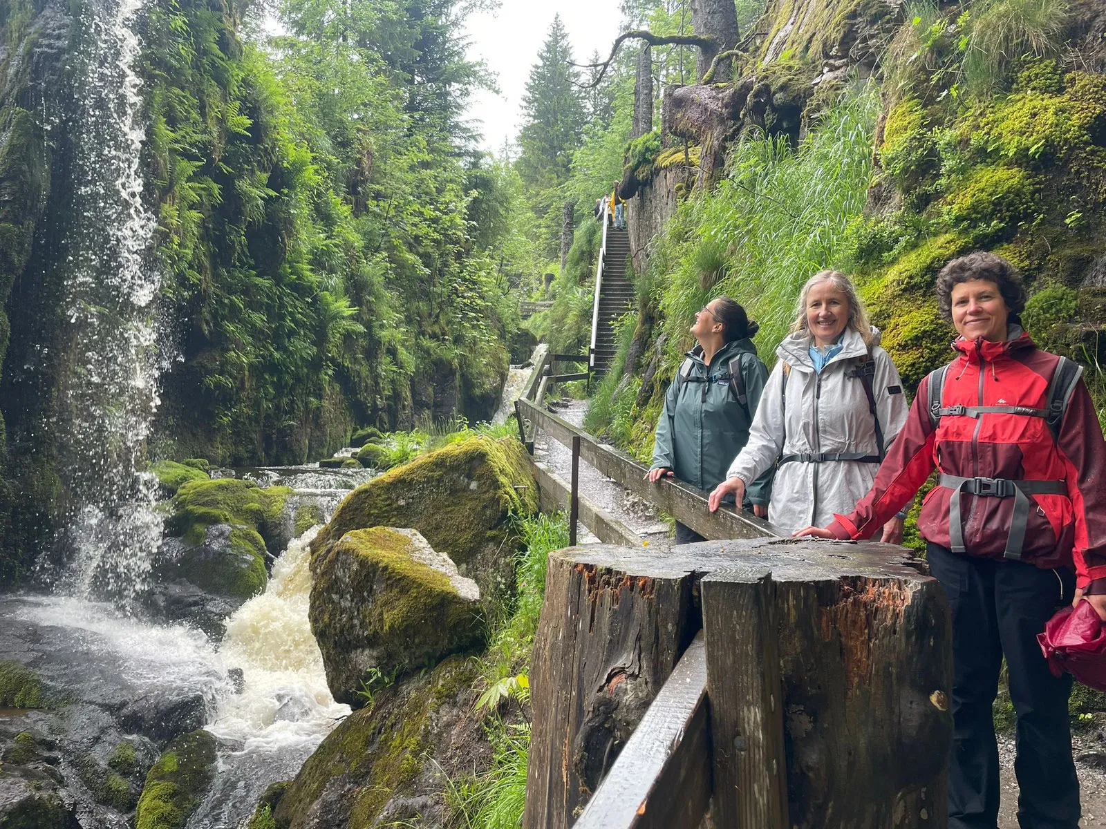 Gäste an einem Wasserfall im Wald